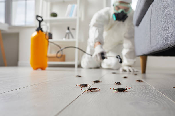 Post-Treatment Bed Bug Interceptor Monitoring in Cuthbert