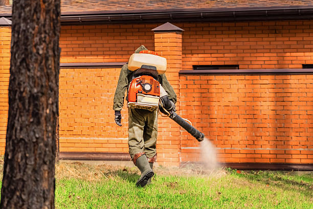 Bed Bug Clearance Verification and Documentation in Cuthbert